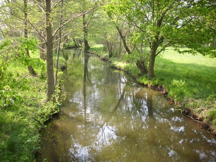 Maßnahmen zur Verbesserung der Wasserverteilung am Staugürtel VI.jpg
