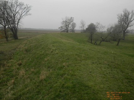 Bestehender Elbdeich.jpg